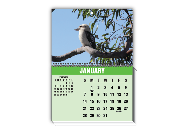 Wall Calendar (A3)
